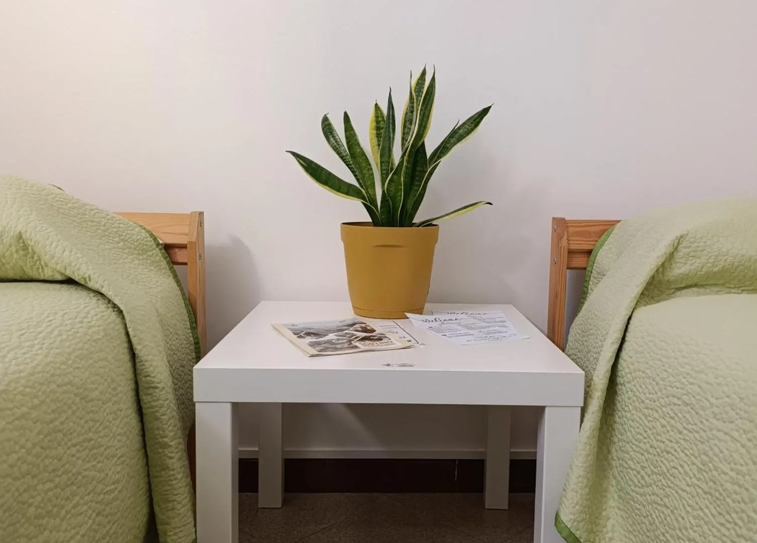 Guest house Ficodindia Rooms Sortino