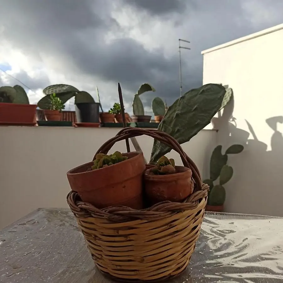 Ficodindia Rooms Sortino